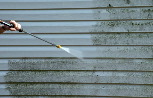 Professional Pressure Washing in Galva, IL
